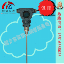  射頻導(dǎo)納液位計的工作原理如何？